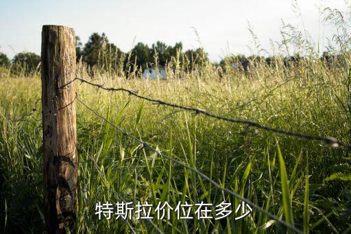 特拉斯車價(jià)位，特斯拉價(jià)位在多少