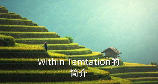 Within Temtation的簡(jiǎn)介