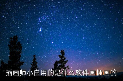 插畫師小白用的是什么軟件畫插畫的