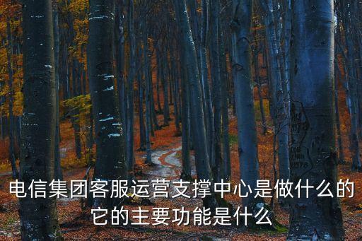 集客支撐是做什么的，電信集團(tuán)客服運(yùn)營(yíng)支撐中心是做什么的它的主要功能是什么