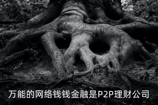 全能科技系統(tǒng) 周楊，萬能的網(wǎng)絡(luò)錢錢金融是P2P理財公司