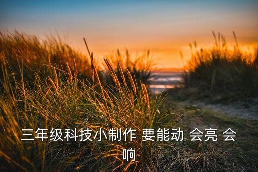 3年級(jí)科技小制作，三年級(jí)科技小制作 要能動(dòng) 會(huì)亮 會(huì)響