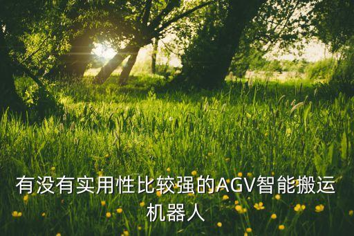 有沒有實用性比較強(qiáng)的AGV智能搬運機(jī)器人