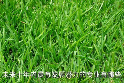 未來十年內(nèi)最有發(fā)展?jié)摿Φ膶I(yè)有哪些