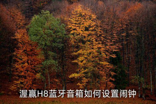 渥贏H8藍牙音箱如何設(shè)置鬧鐘