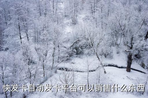 快發(fā)卡自動(dòng)發(fā)卡平臺(tái)可以銷售什么東西