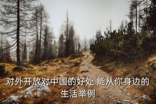有關(guān)開(kāi)放共贏的素材，對(duì)外開(kāi)放對(duì)中國(guó)的好處 能從你身邊的生活舉例