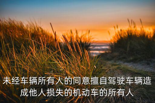 未經(jīng)車(chē)輛所有人的同意擅自駕駛車(chē)輛造成他人損失的機(jī)動(dòng)車(chē)的所有人