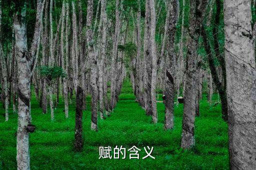 為自己賦能的意思與含義，為人賦能是什么意思