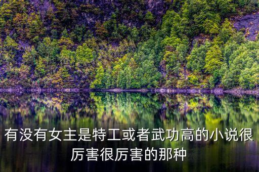 有沒(méi)有女主是特工或者武功高的小說(shuō)很厲害很厲害的那種