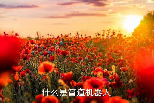 管道機(jī)器人，管道機(jī)器人可適用于怎樣的工作環(huán)境使用是需要注意什么