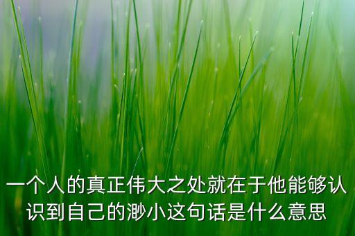 一個(gè)人的真正偉大之處就在于他能夠認(rèn)識(shí)到自己的渺小這句話是什么意思