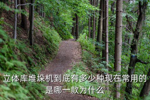 立體庫堆垛機到底有多少種現(xiàn)在常用的是哪一款為什么