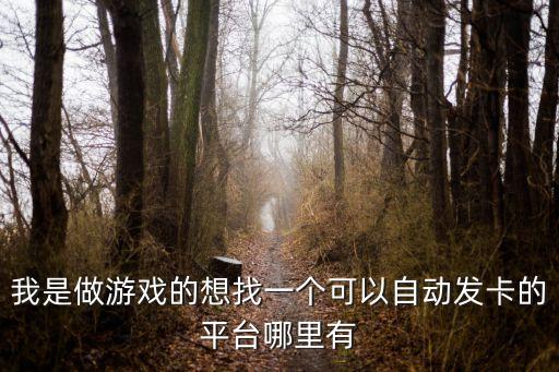 搬運工自動發(fā)卡網，我是做游戲的想找一個可以自動發(fā)卡的平臺哪里有