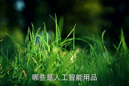 人工智能有什么產(chǎn)品可以做，哪些是人工智能用品