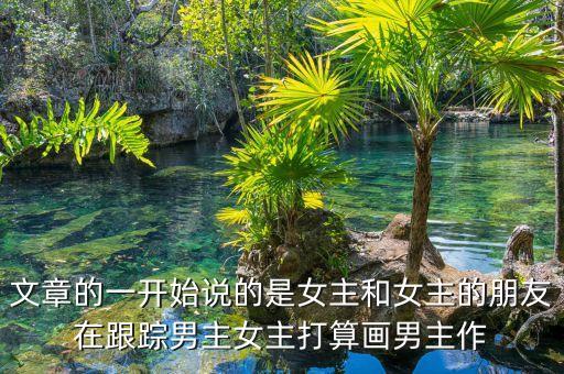 黑科技研發(fā)中心女主，文章的一開(kāi)始說(shuō)的是女主和女主的朋友在跟蹤男主女主打算畫(huà)男主作
