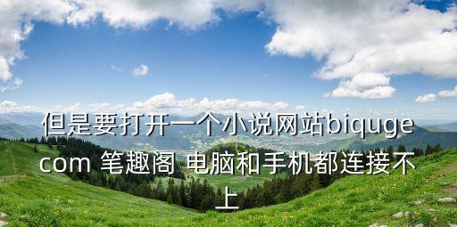 但是要打開一個(gè)小說網(wǎng)站biqugecom 筆趣閣 電腦和手機(jī)都連接不上