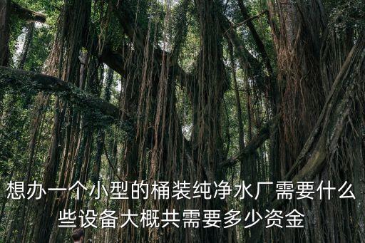 想辦一個(gè)小型的桶裝純凈水廠需要什么些設(shè)備大概共需要多少資金