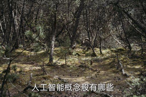 人工智能概念股有哪些