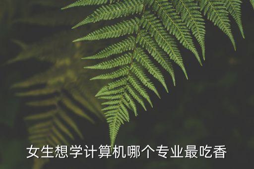 女生想學(xué)計(jì)算機(jī)哪個專業(yè)最吃香