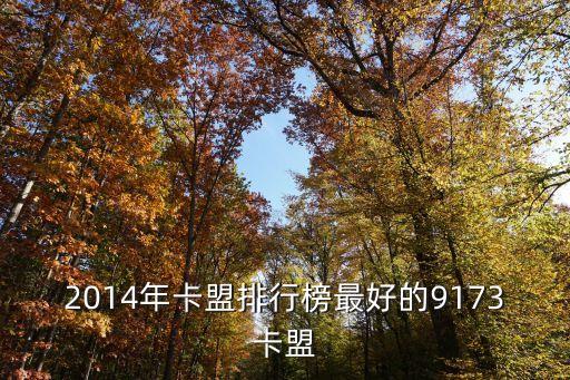2014年卡盟排行榜最好的9173卡盟