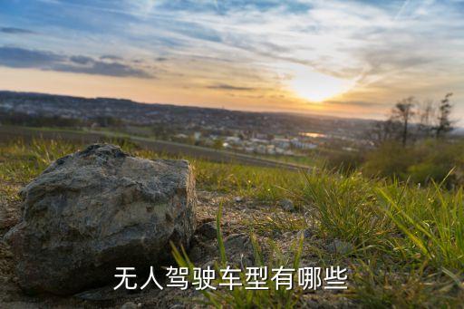 最新無人駕駛電動汽車，現(xiàn)在無人駕駛汽車有哪些