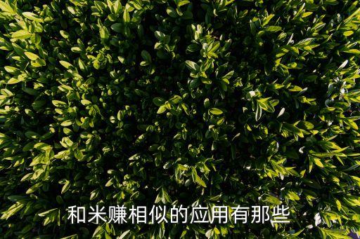 和米賺相似的應(yīng)用有那些