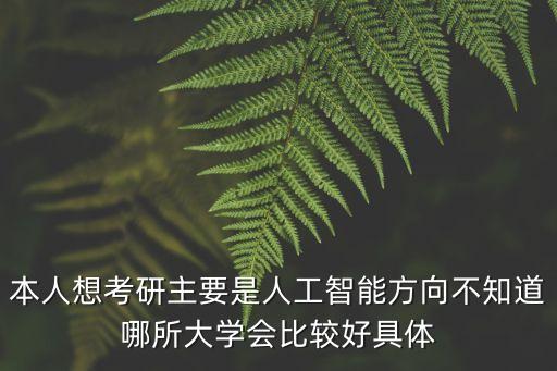 本人想考研主要是人工智能方向不知道哪所大學(xué)會(huì)比較好具體