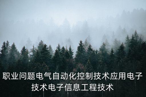 職業(yè)問(wèn)題電氣自動(dòng)化控制技術(shù)應(yīng)用電子技術(shù)電子信息工程技術(shù)