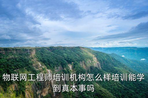 物聯(lián)網(wǎng)工程師培訓機構怎么樣培訓能學到真本事嗎