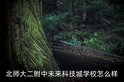 北師大二附中未來科技城學校怎么樣