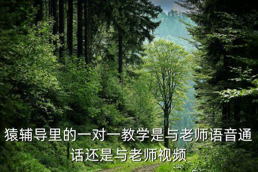 猿輔導(dǎo)里的一對一教學(xué)是與老師語音通話還是與老師視頻