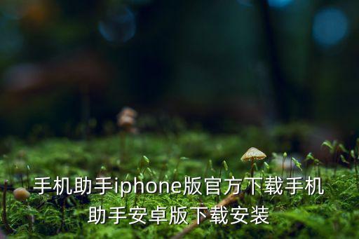 手機(jī)助手iphone版官方下載手機(jī)助手安卓版下載安裝