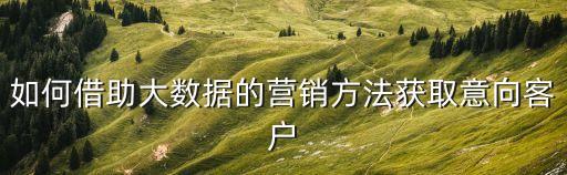 如何借助大數(shù)據(jù)的營銷方法獲取意向客戶