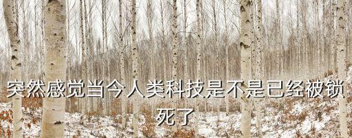 突然感覺當今人類科技是不是已經(jīng)被鎖死了