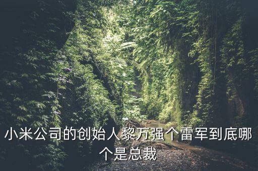 小米公司的創(chuàng)始人黎萬強個雷軍到底哪個是總裁