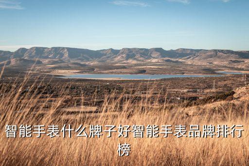 智能手表什么牌子好智能手表品牌排行榜