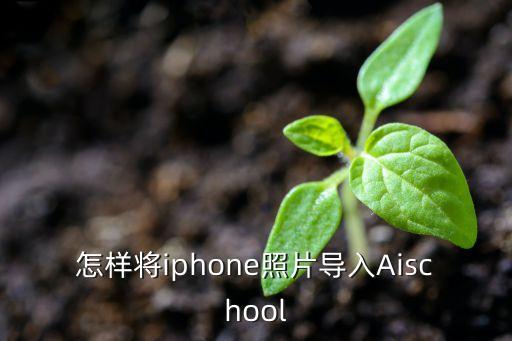 怎樣將iphone照片導(dǎo)入Aischool