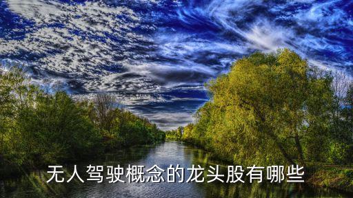 智能駕駛概念股龍頭一覽，無人駕駛概念的龍頭股有哪些