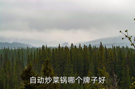家用自動翻炒鍋哪個品牌好一點，家用自動炒菜機哪個牌子好啊