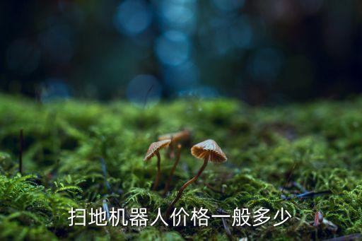 掃地機(jī)器人價(jià)格一般多少