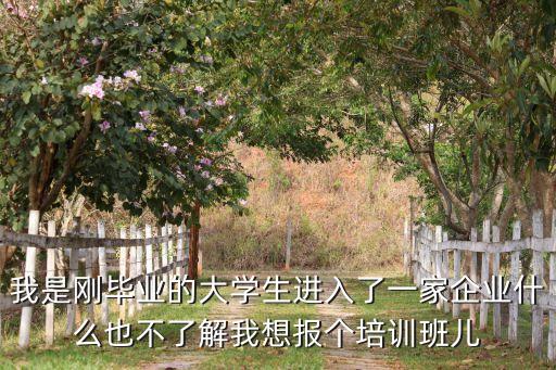 瘋狂董事長(zhǎng)，總裁執(zhí)行風(fēng)暴主要有哪些課程安排啊