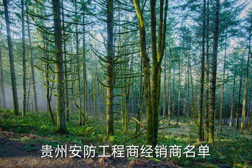 貴州安防工程商經(jīng)銷商名單