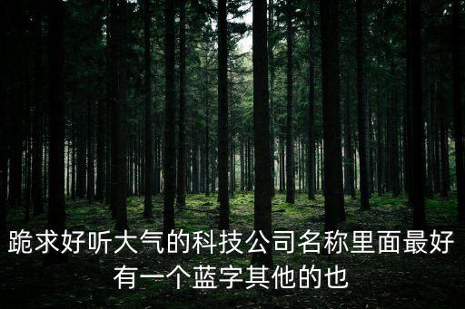 跪求好聽大氣的科技公司名稱里面最好有一個藍(lán)字其他的也