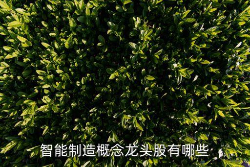 智能制造概念龍頭股有哪些