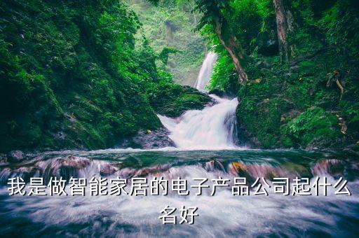 我是做智能家居的電子產(chǎn)品公司起什么名好
