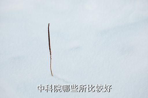 中科院哪些所比較好
