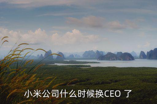 小米集團總裁現(xiàn)任，小米公司什么時候換CEO 了