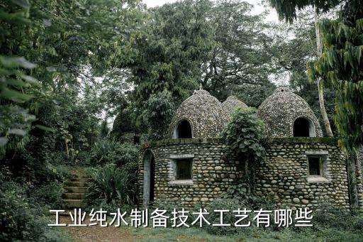 工業(yè)純水制備技術(shù)工藝有哪些