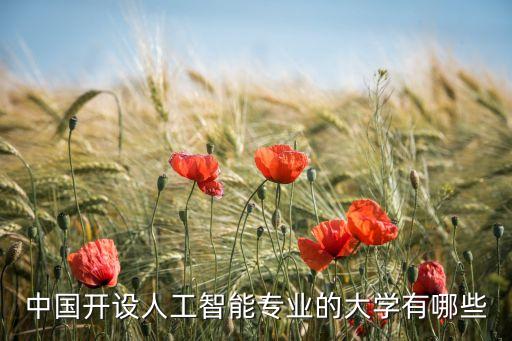 中國開設(shè)人工智能專業(yè)的大學(xué)有哪些